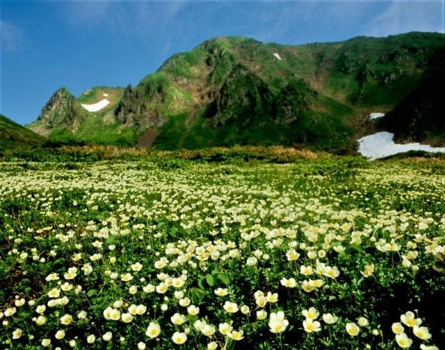 秋田駒ケ岳山開き