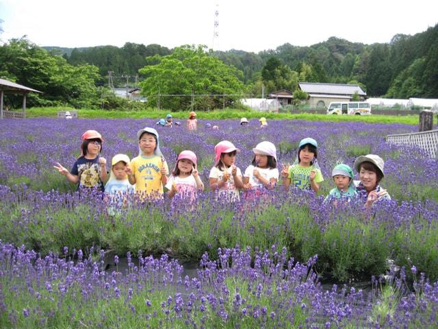 ドリーム新野　ラベンダー園