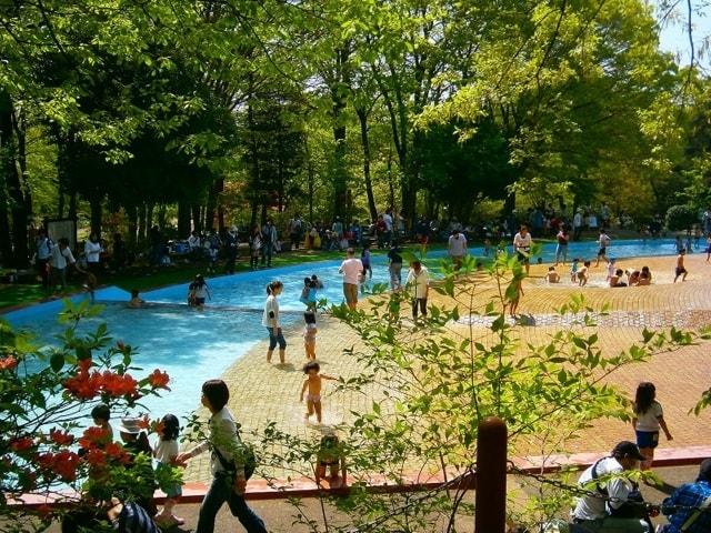 森林公園　水遊び場