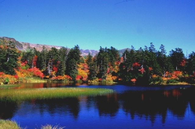 【紅葉・見ごろ】高原温泉沼巡りコース