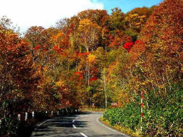 【紅葉・見ごろ】登別温泉　オロフレ峠