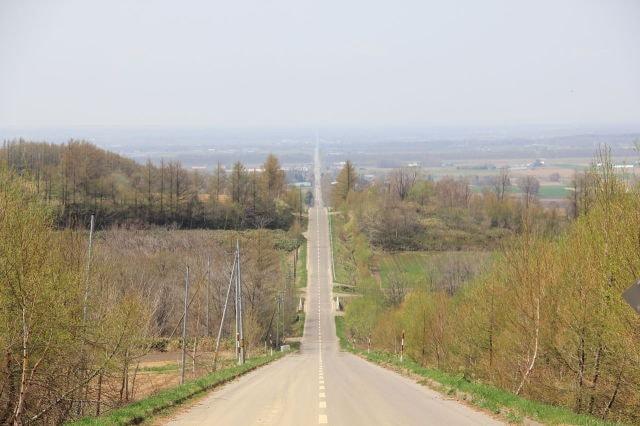 【紅葉・見ごろ】知床斜里　天に続く道