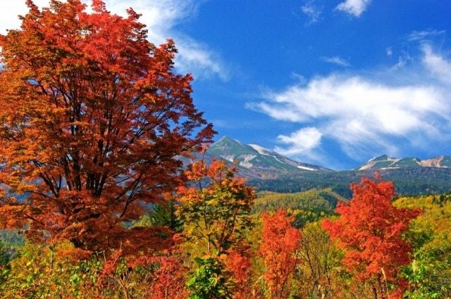 【紅葉・見ごろ】乗鞍高原