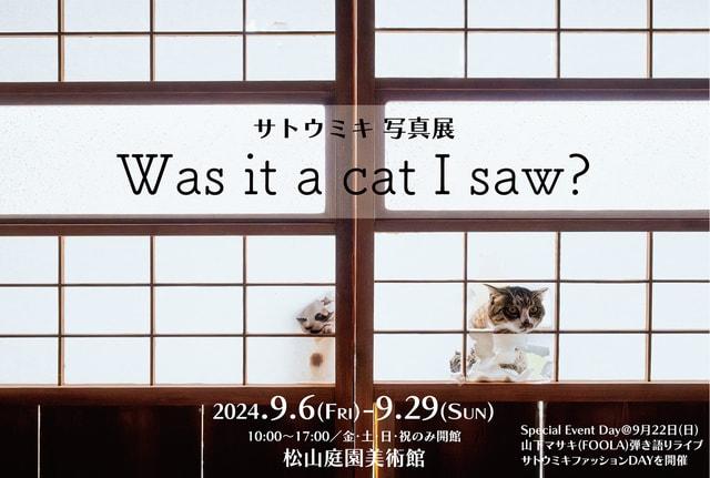 サトウミキ写真展『Was it a cat I saw ？』