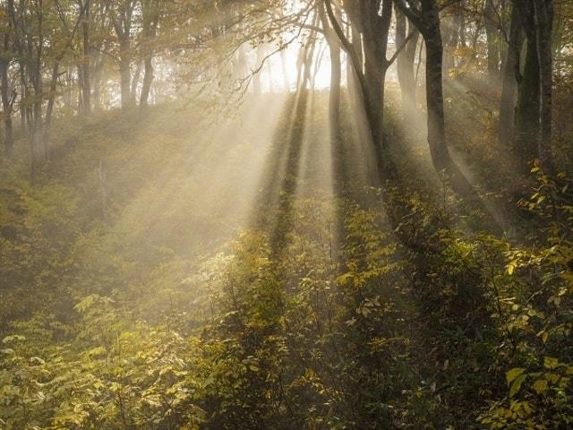 鈴木一雄写真展「聲をきく」四季にうつろう日本の原風景