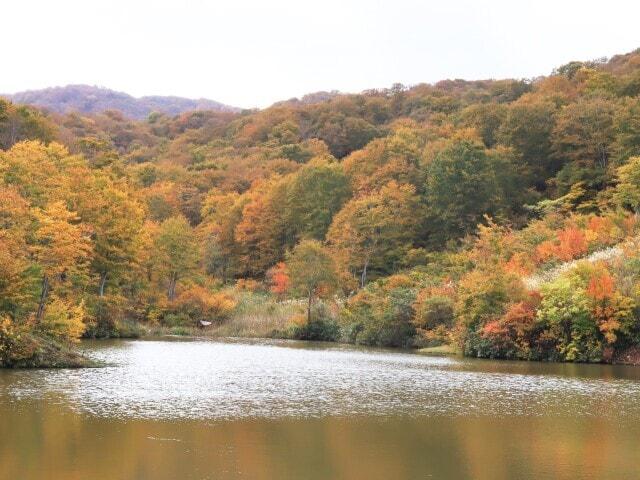 【紅葉・見ごろ】大厳寺高原