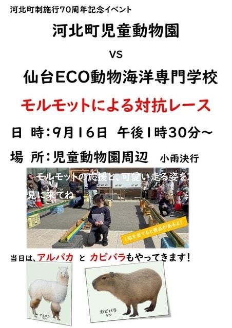 河北町児童動物園vs仙台ECO動物海洋専門学校 対抗モルモットレース