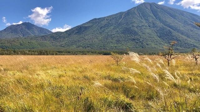 【紅葉・見ごろ】戦場ヶ原