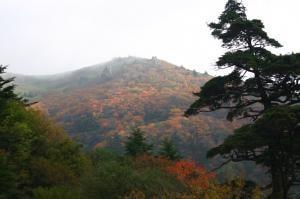 【紅葉・見ごろ】剣山