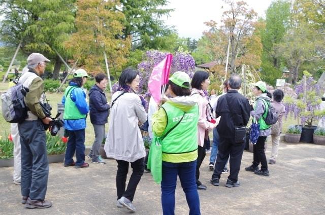 花のウォーキング（10月）