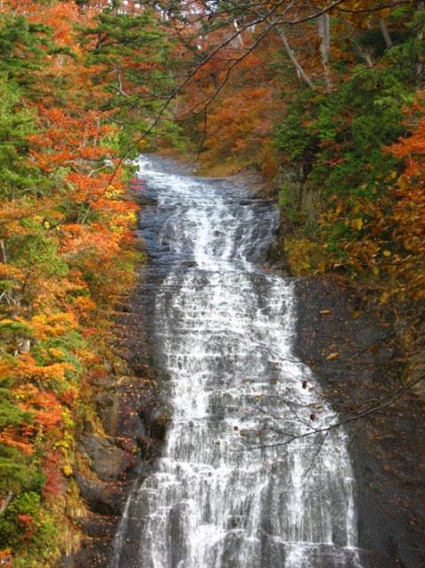 【紅葉・見ごろ】立又渓谷＜中止となりました＞