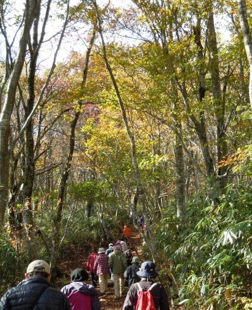 第33回氷ノ山紅葉登山フェスティバル