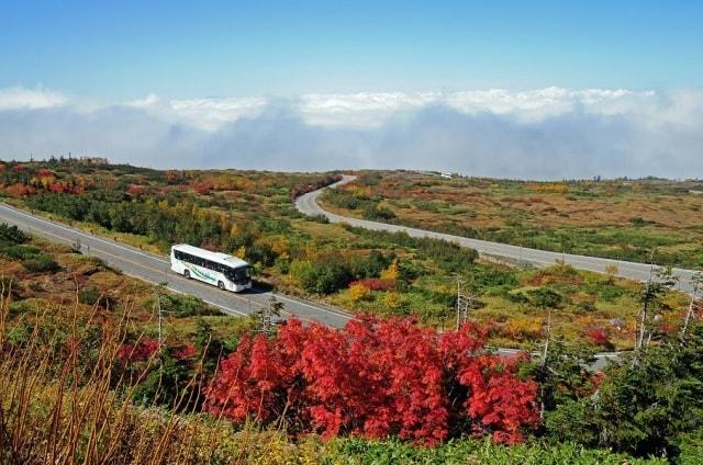 【紅葉・見ごろ】立山黒部アルペンルート