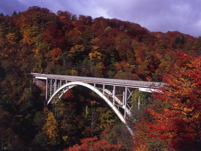 【紅葉・見ごろ】国見温泉周辺