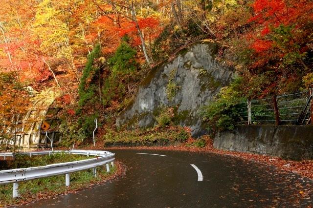 【紅葉・見ごろ】坂梨峠