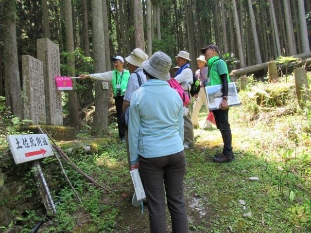 ガイドと歩く　四国・参勤交代の道～新宮・霧の森界隈～（10月）