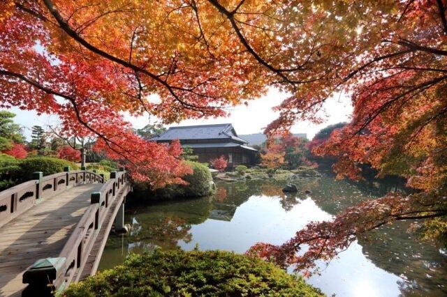 【紅葉・見ごろ】長府庭園