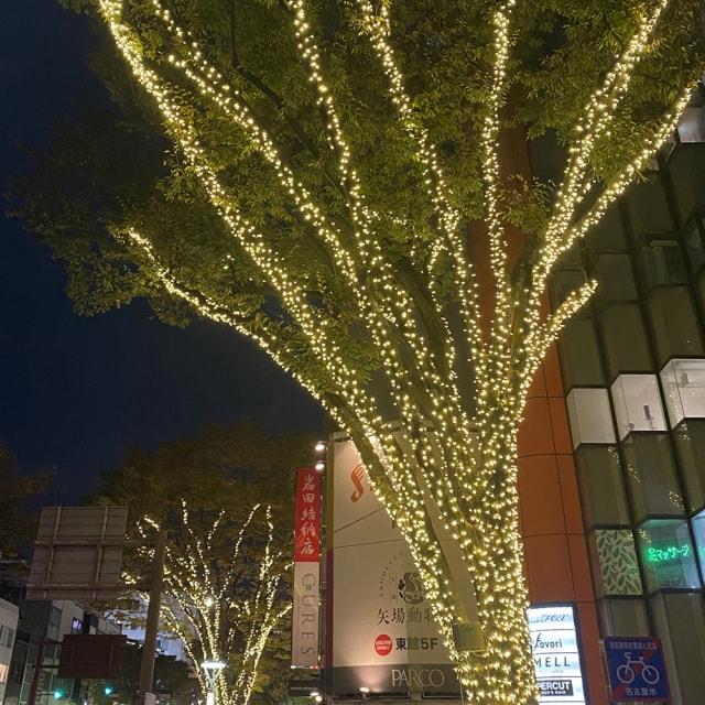 栄ミナミ・大須 ウィンターイルミネーション