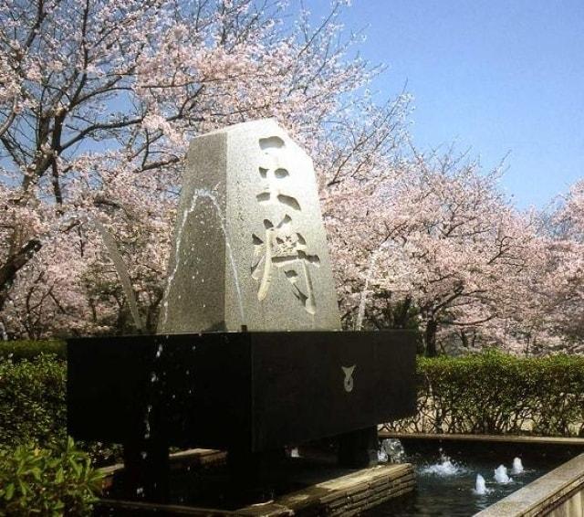 【桜・見ごろ】天童公園（舞鶴公園）