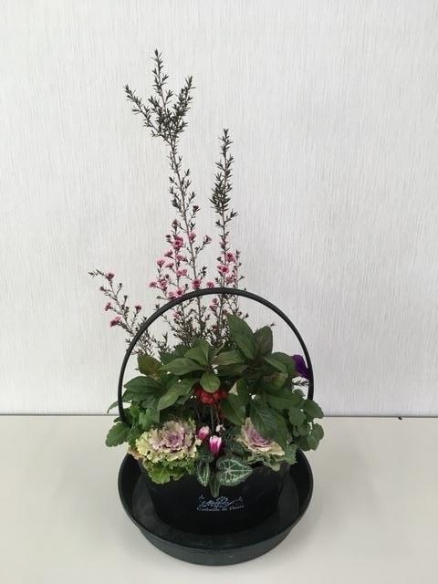 山野草の寄せ植え教室（12月）