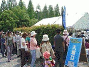 スワップミート in 花博公園（6月）