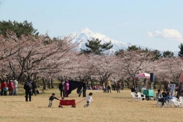 令和7年 つがる市春まつり