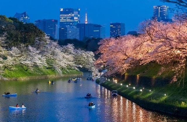 千代田のさくらまつり