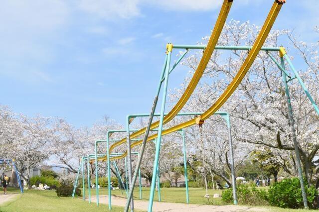 【桜・見ごろ】霧島ヶ丘公園・キャンプ場