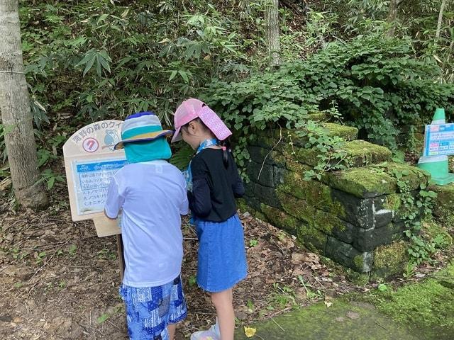 きのたん探検隊