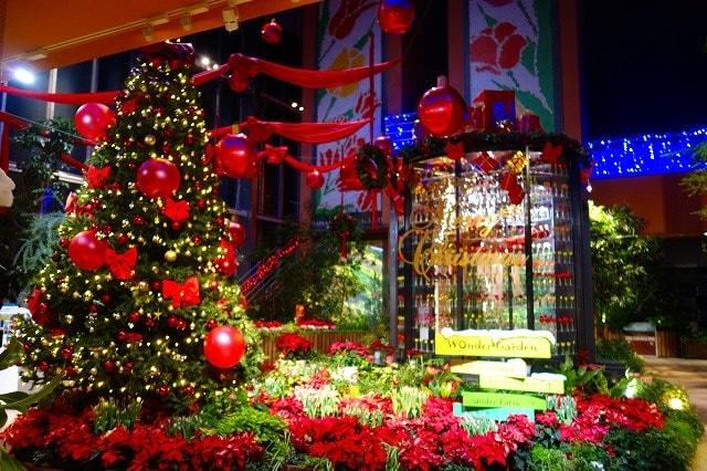 季節展示「冬の庭」クリスマス