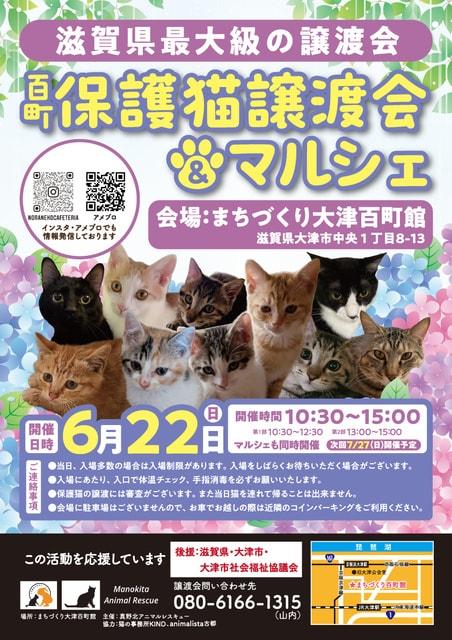 百町保護猫譲渡会＆マルシェ（6月）