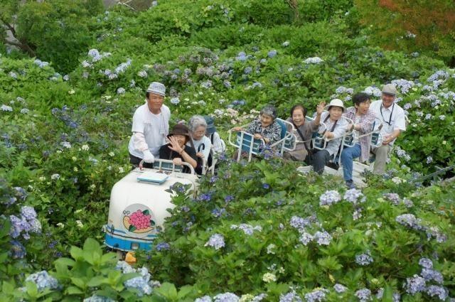 新宮あじさい祭り
