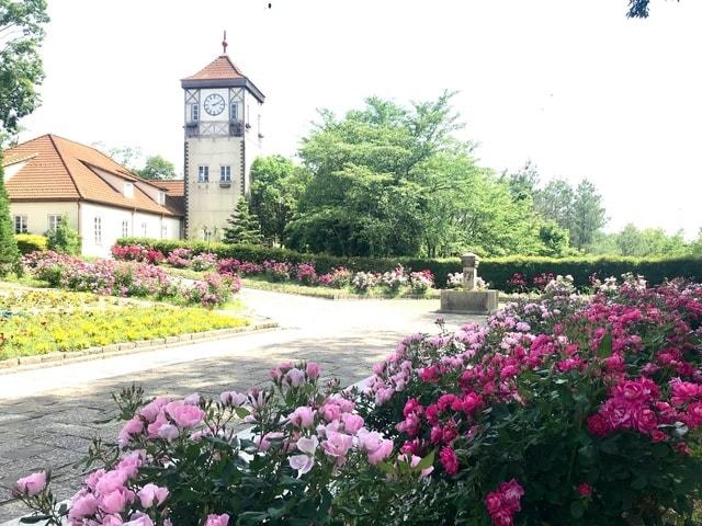 【花・見ごろ】滋賀農業公園ブルーメの丘　春バラ