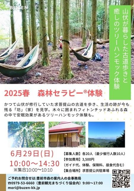 2025春　森林セラピー体験　山伏が暮らした古道歩きと癒しのツリーハンモック体験