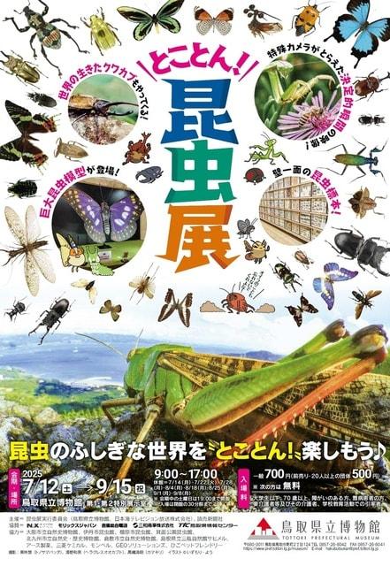 企画展　とことん！昆虫展
