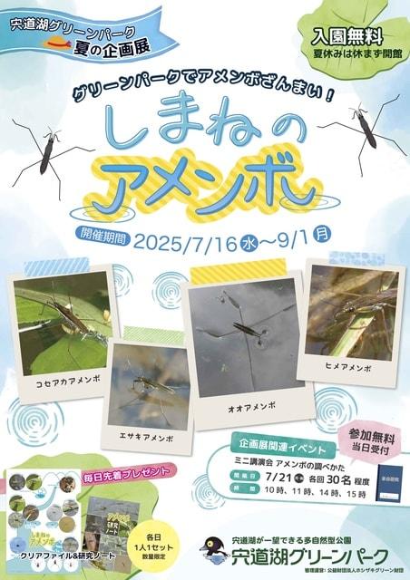 宍道湖グリーンパーク夏の企画展 しまねのアメンボ
