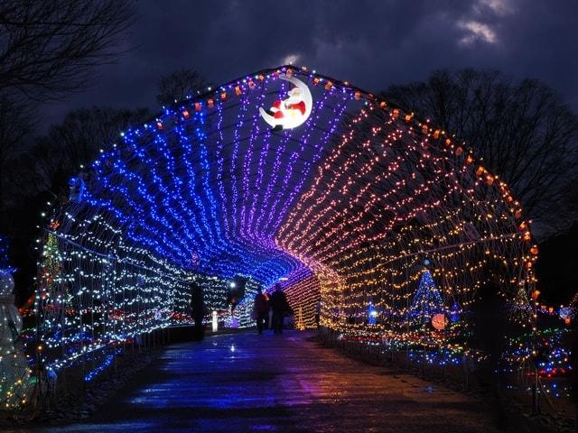 花と光のクリスマス