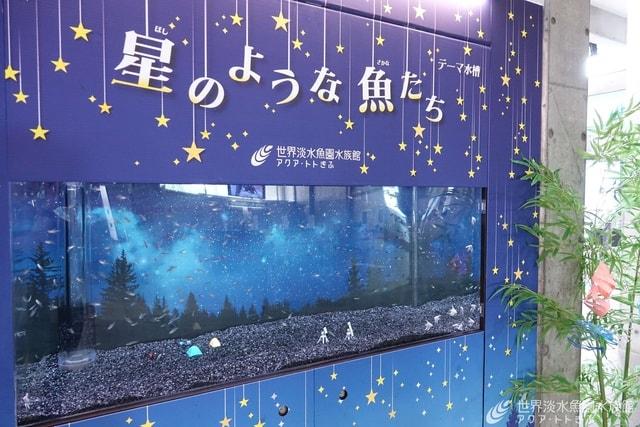 テーマ水槽『星のような魚たち』
