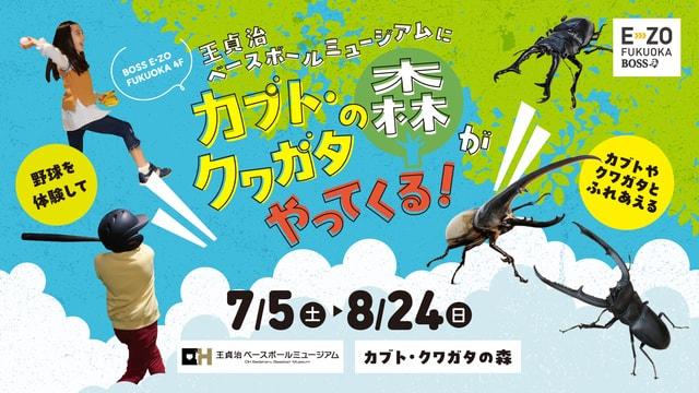 カブト・クワガタの森