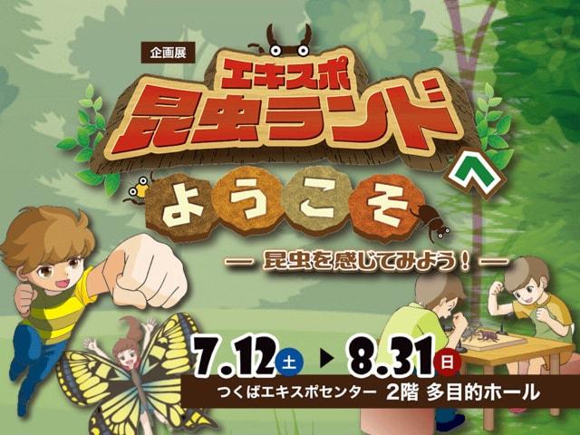 企画展「エキスポ昆虫ランドへようこそ　－昆虫を感じてみよう！－」