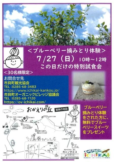 ブルーベリー摘みとり体験