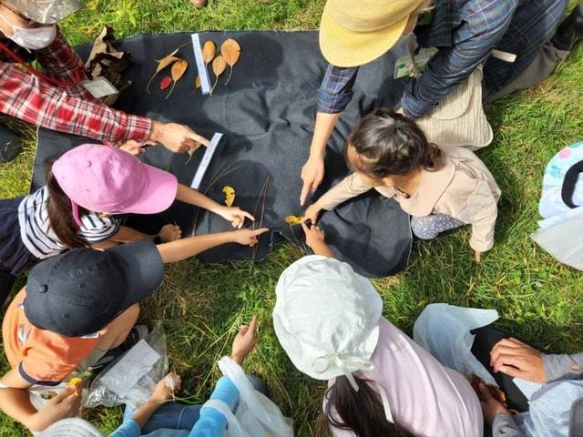 ネイチャーゲーム体験