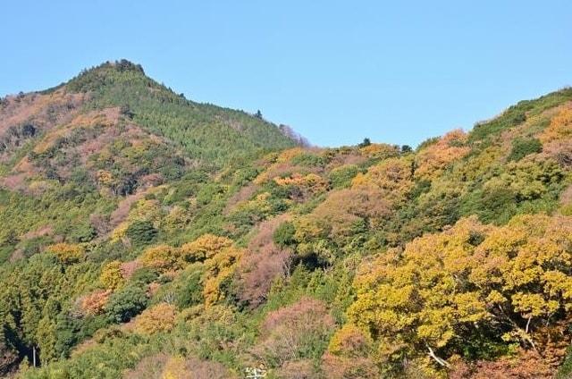 【紅葉・見ごろ】鐘ヶ嶽と広沢寺温泉周辺