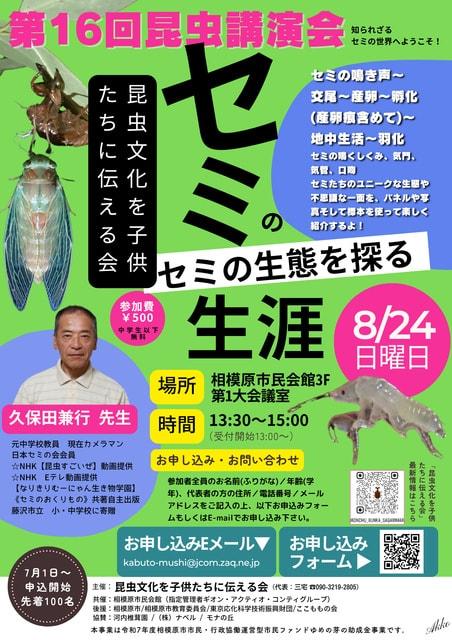 第16回昆虫講演会　セミの生態を探る！