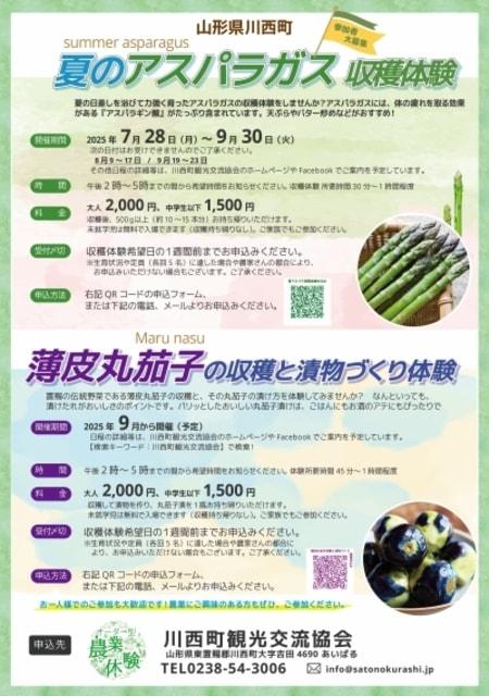 夏のアスパラガス収穫体験（川西町）