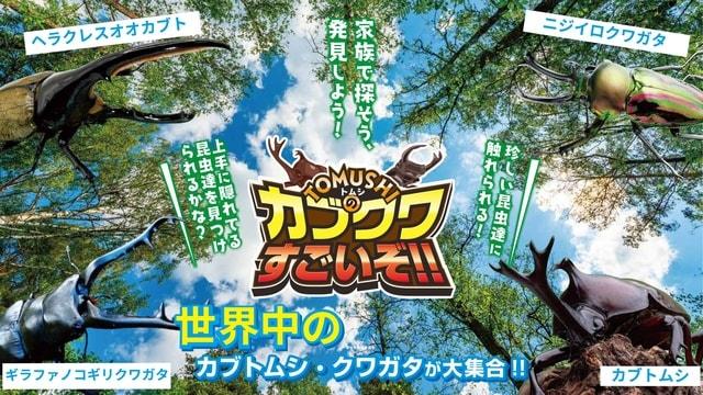 ふかや花園プレミアム・アウトレット　TOMUSHIのカブクワすごいぞ!!
