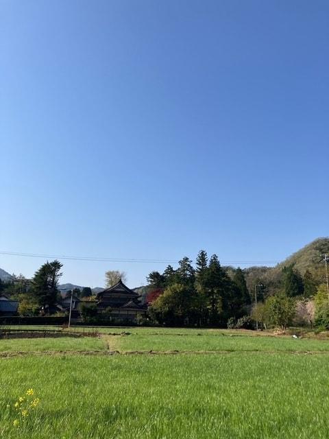 農山村ボランティア「若葉のふるさと協力隊」in 福井県坂井市竹田地区