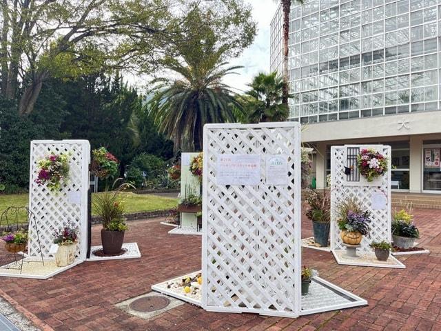 ハンギングバスケット作品展