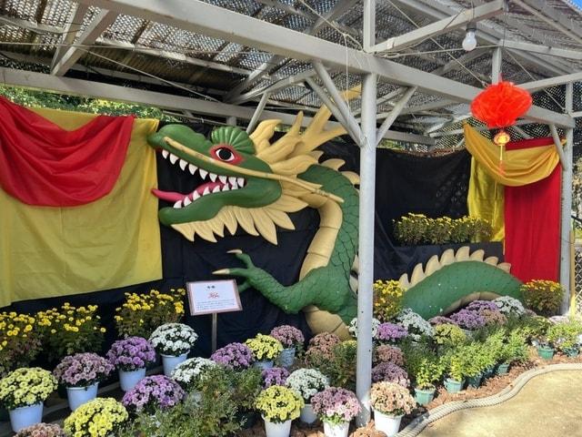 広島市植物公園　キク展