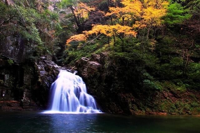 【紅葉・見ごろ】赤目四十八滝